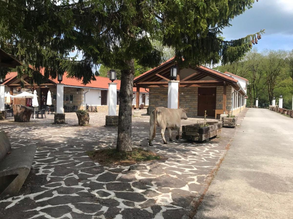 Hotel Kampaoh Sierra De Urbasa Bacáicoa Esterno foto